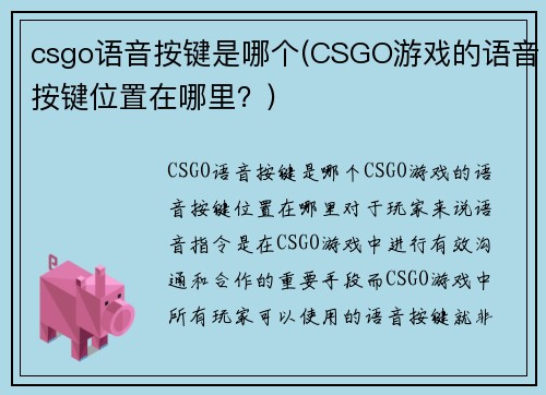 csgo语音按键是哪个(CSGO游戏的语音按键位置在哪里？)